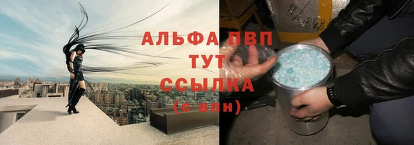 соль ск Пересвет