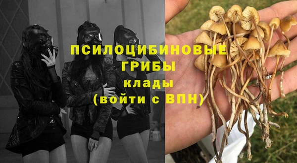 индика Бронницы