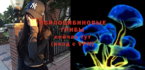 эйфоретик Нефтекумск
