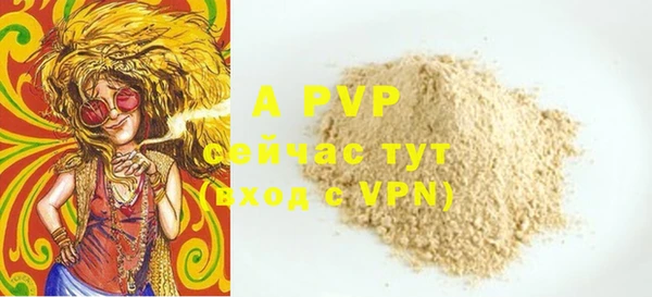 дурь Бородино