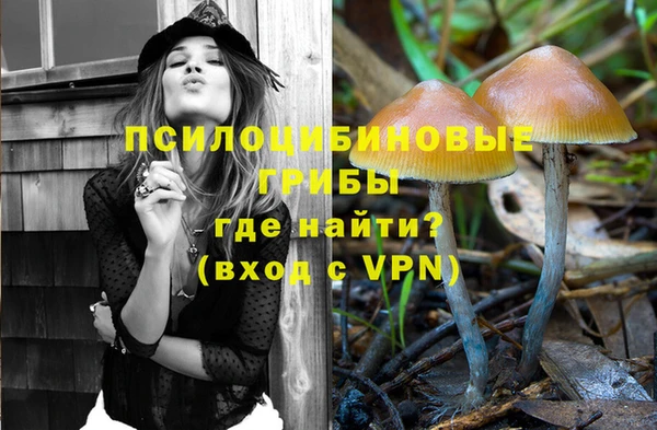 МДПВ Алагир