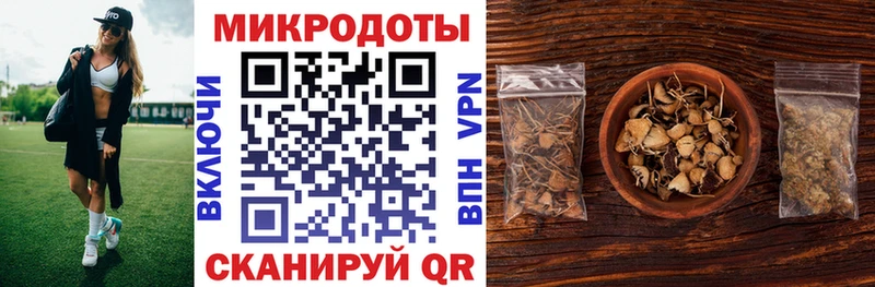 Псилоцибиновые грибы Psilocybe  Кызыл 