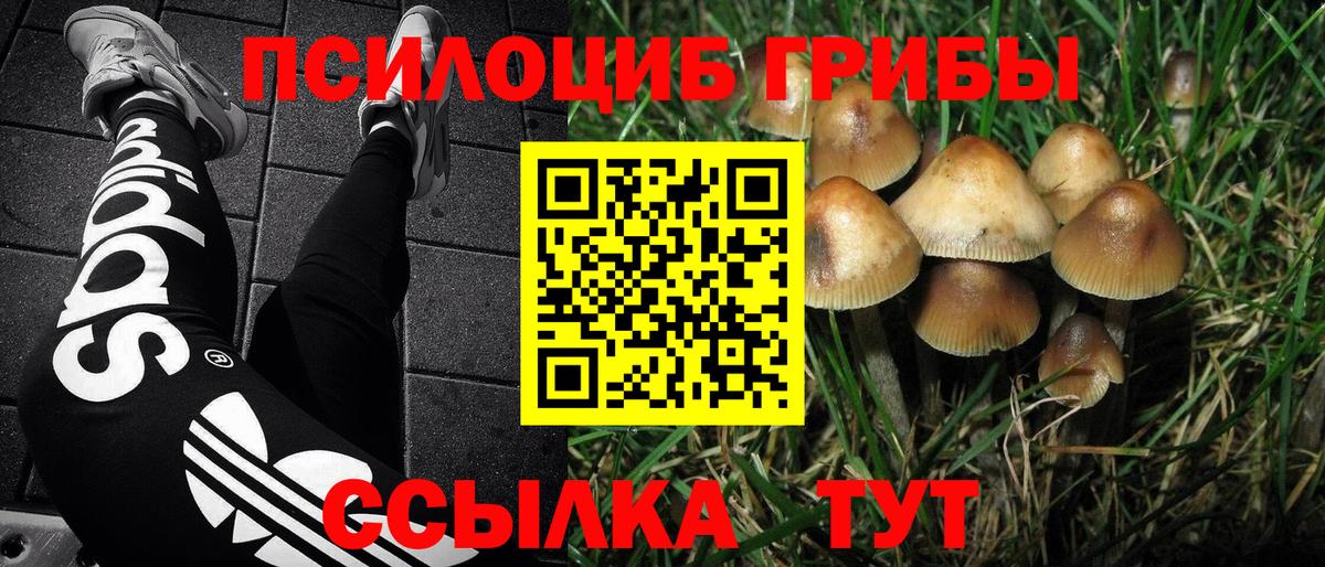 Галлюциногенные грибы GOLDEN TEACHER  Вход с VPN  Кызыл 