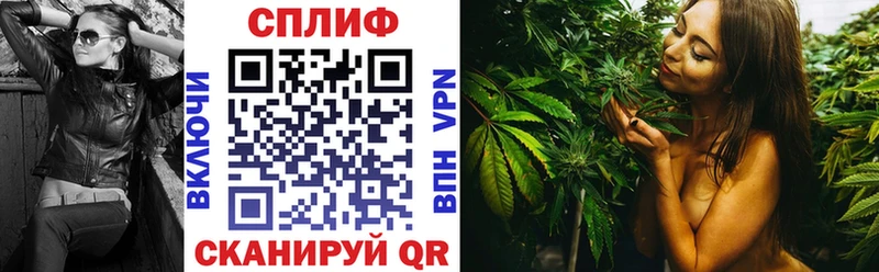 Канабис THC 21%  продажа наркотиков  Кызыл 